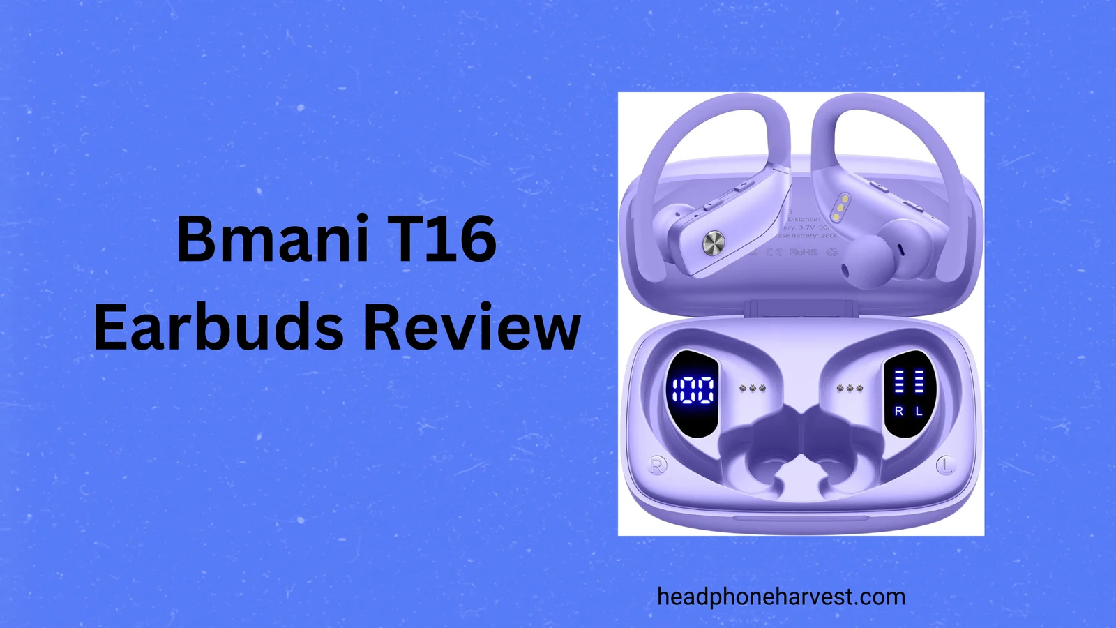 Bmani T16 Earbuds Review
